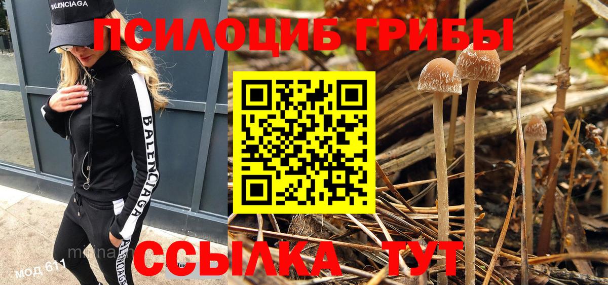 Псилоцибиновые грибы Psilocybe Шарыпово